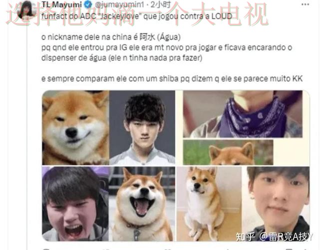 雷竞技游戏网全新攻略